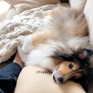 I ❤️ OFFERS 🥳🥳 FP, Anthro, Boho closet!